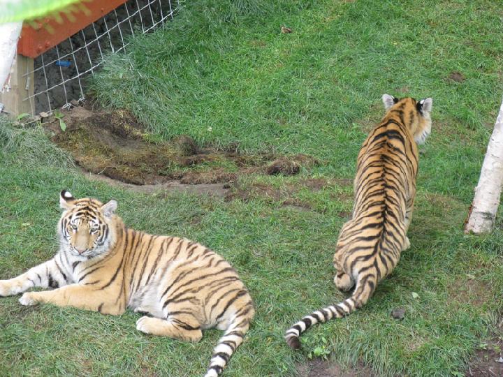 zoo 141.JPG